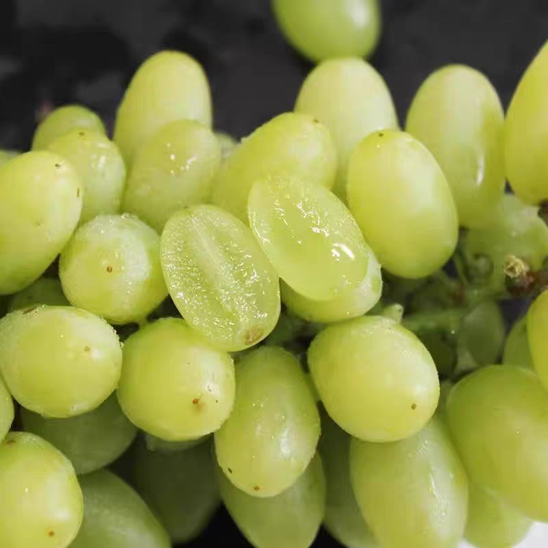 新疆小糖豆吐鲁番小蜜蜂葡萄新鲜应季水果新疆维吾尔自治区