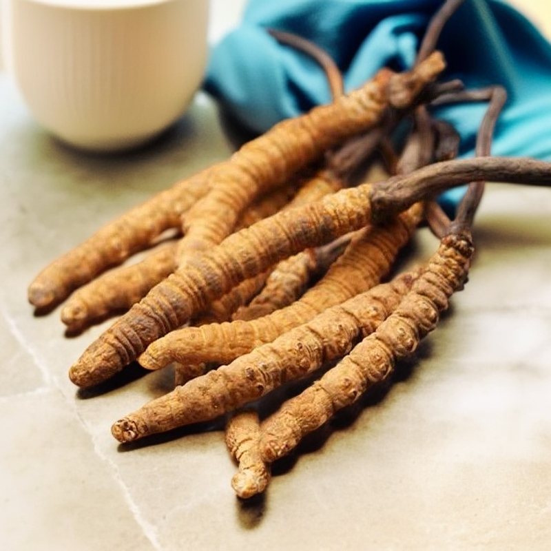 新鲜冬虫夏草2025年现挖现发青海玉树虫草0.5-0.7克/根