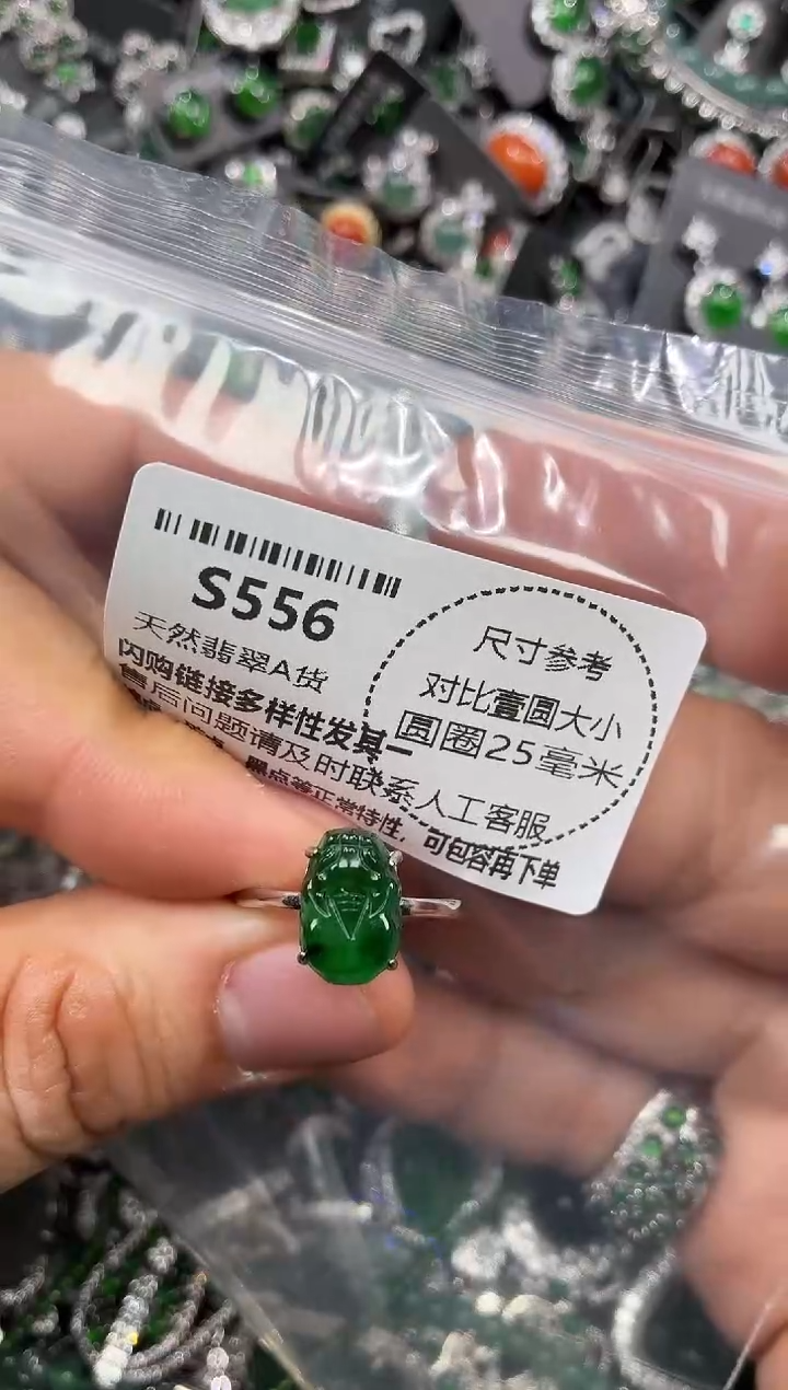 颈饰未镶嵌翡翠S556戒指