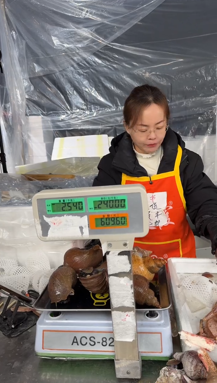 冰鲜红皮螺2.54公斤