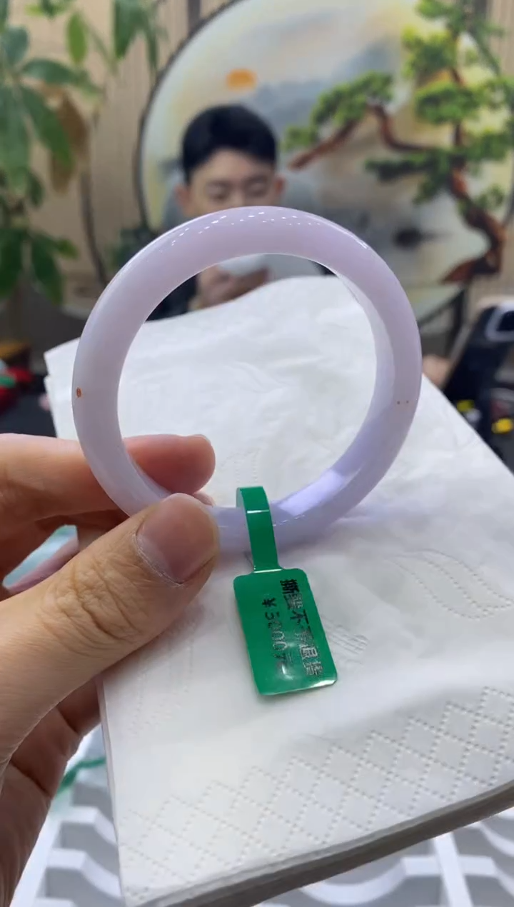 未镶嵌手镯翡翠2494