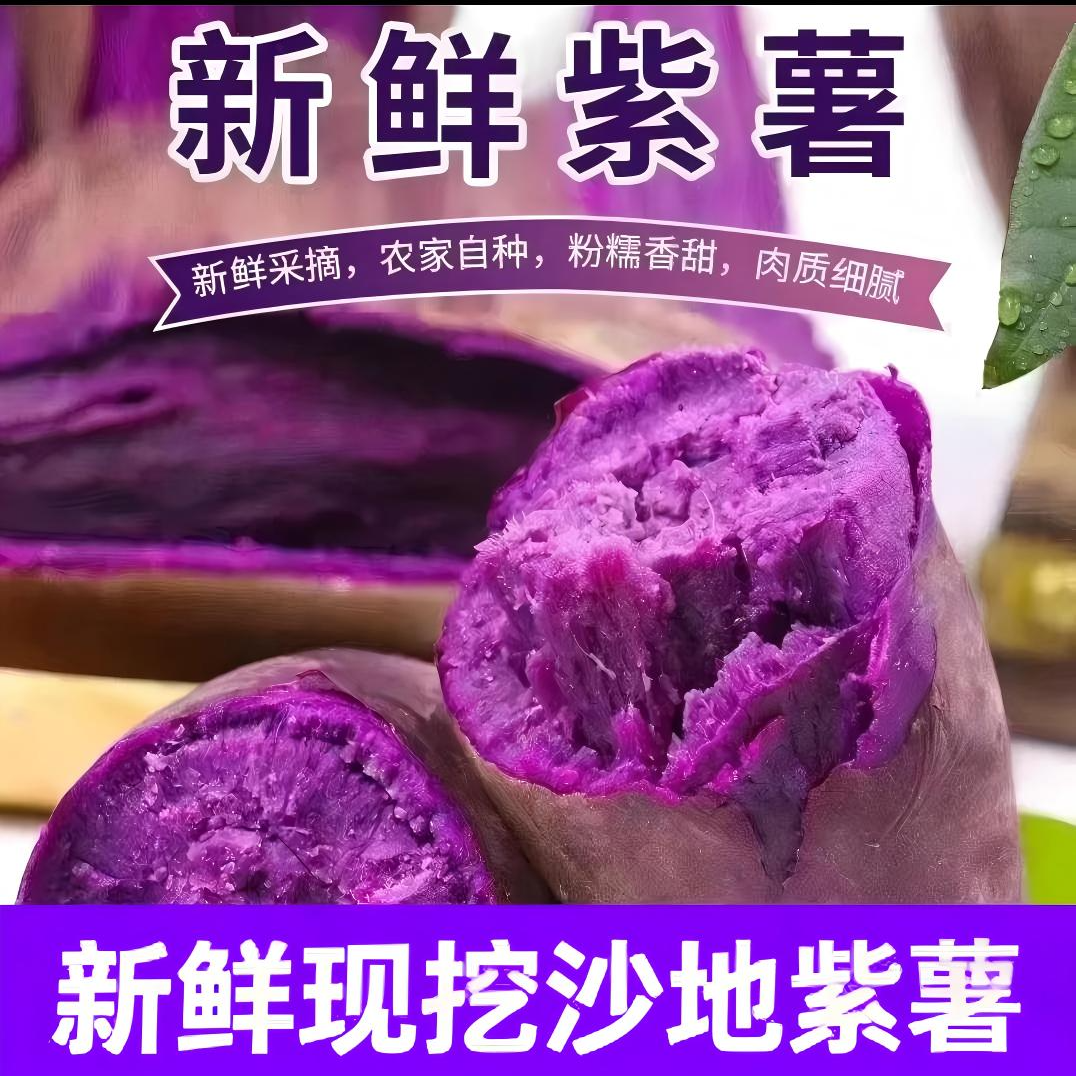 湖北襄阳新鲜现挖沙地紫薯香甜粉糯粗粮代餐紫心
