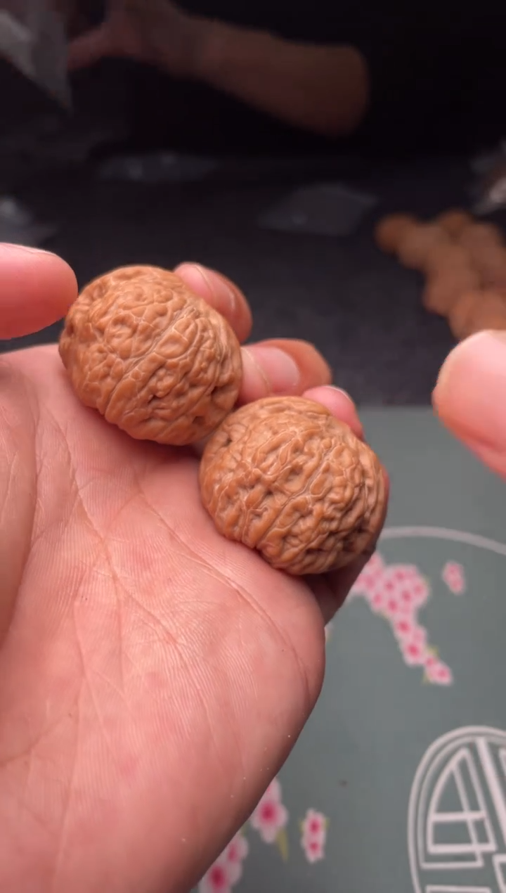 核桃a 192 平底锅 34尺