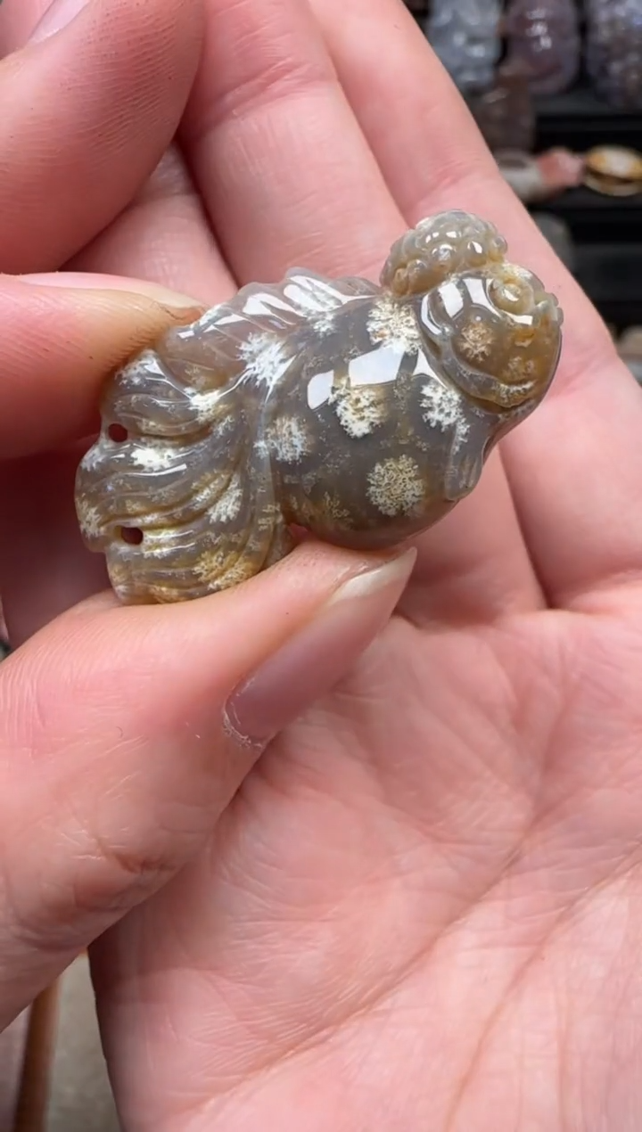 颈饰未镶嵌硅化珊瑚（珊瑚玉）174