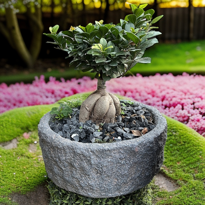 复古仿石缸种植摆件家居办公室茶室民宿庭院花园别墅茶陈设装饰