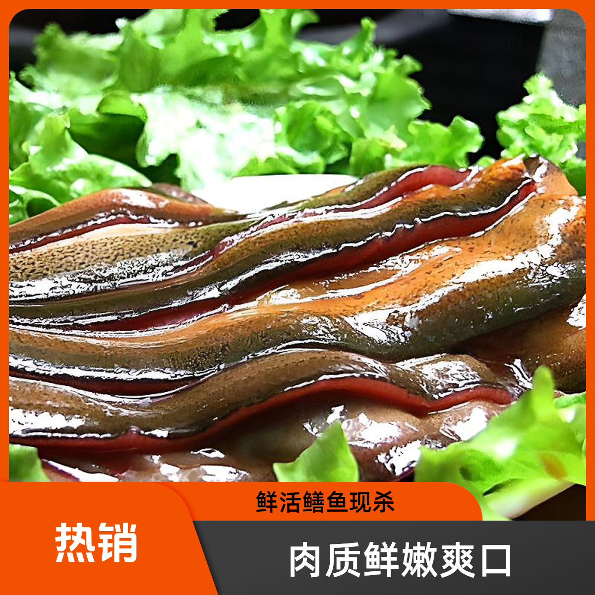 整条鳝鱼片鲜活黄鳝现杀