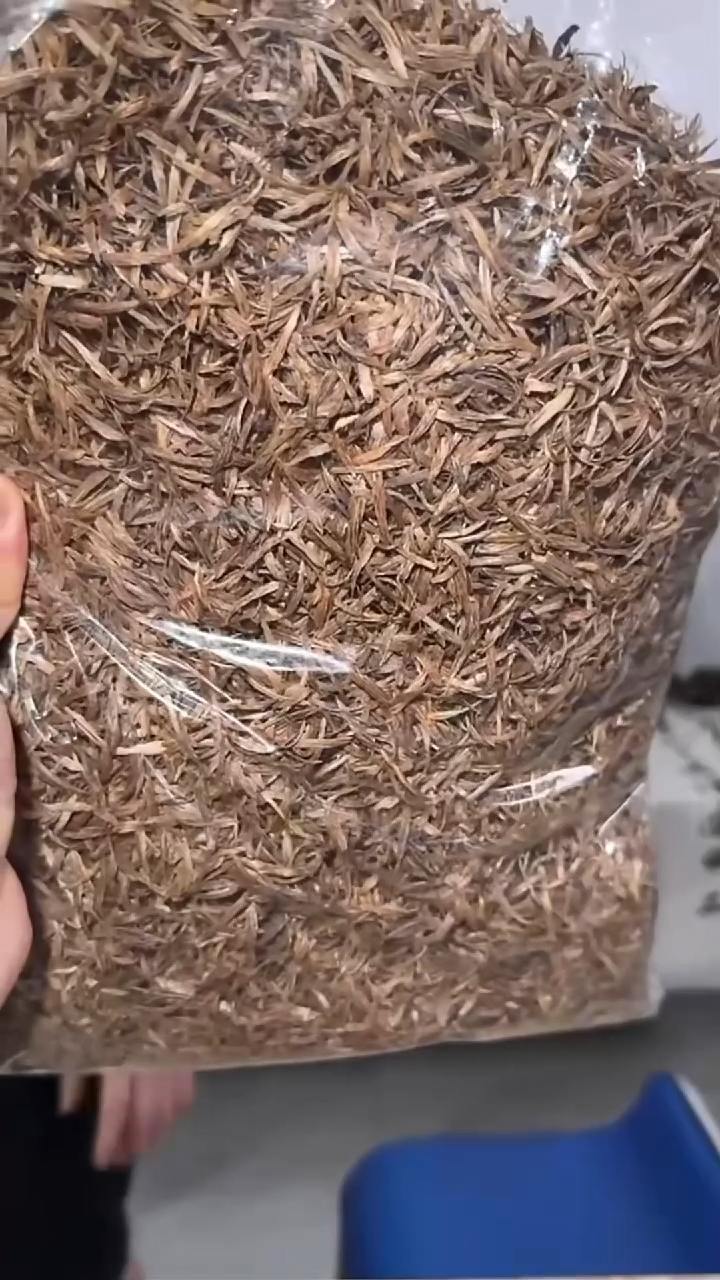 沉香沉香香囊157号沉水树心勾丝10g多样性发一