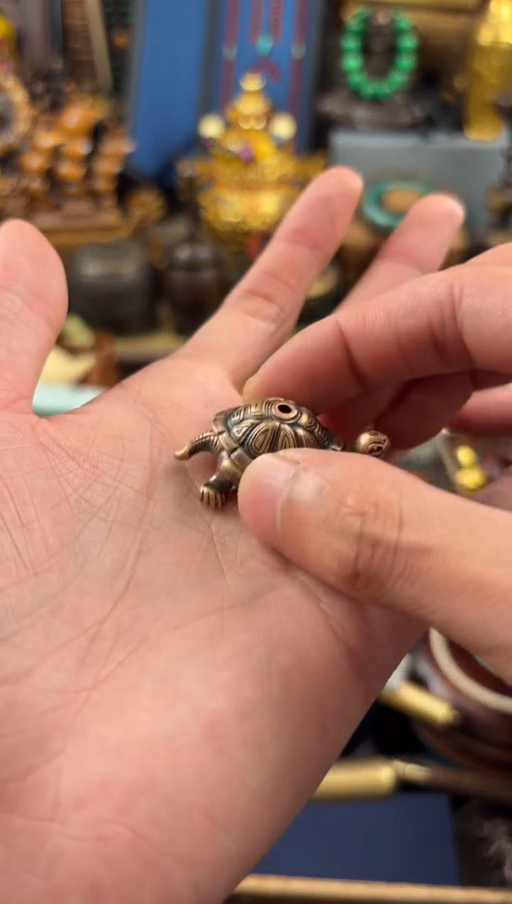 11小七甄选所见及所得