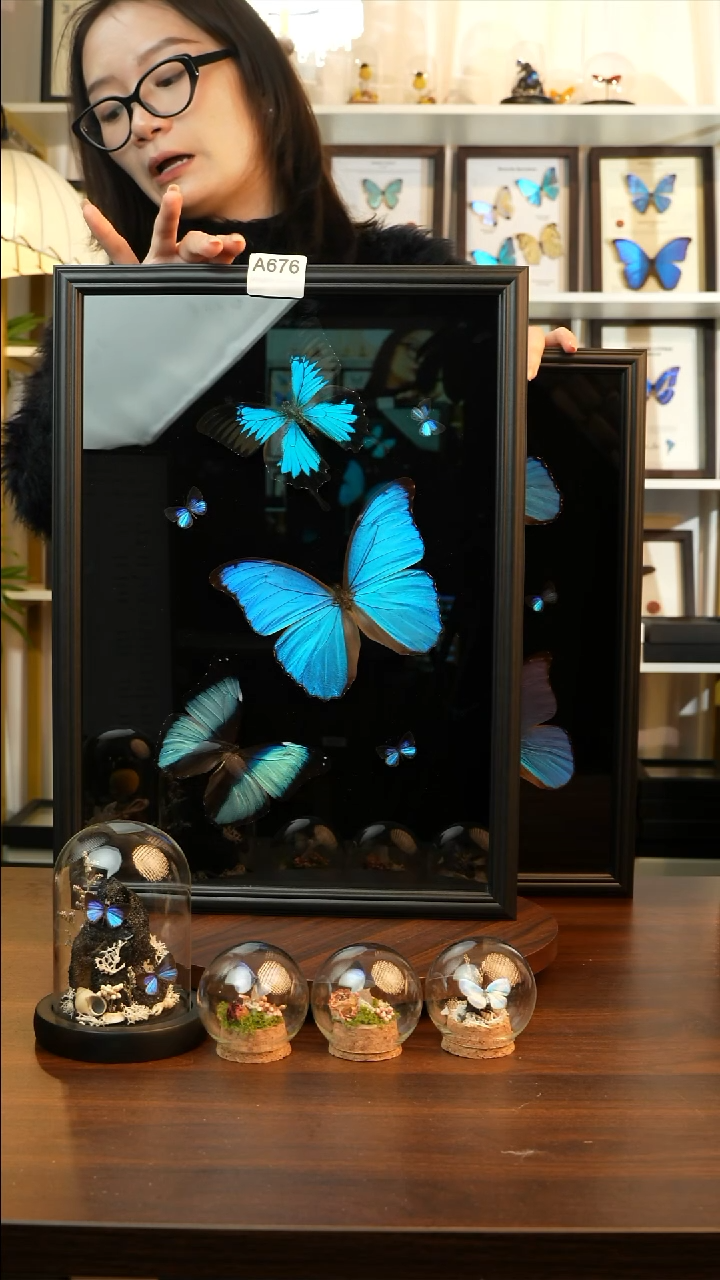 大蓝闪+天堂+梦幻+雅灰6只组合A676