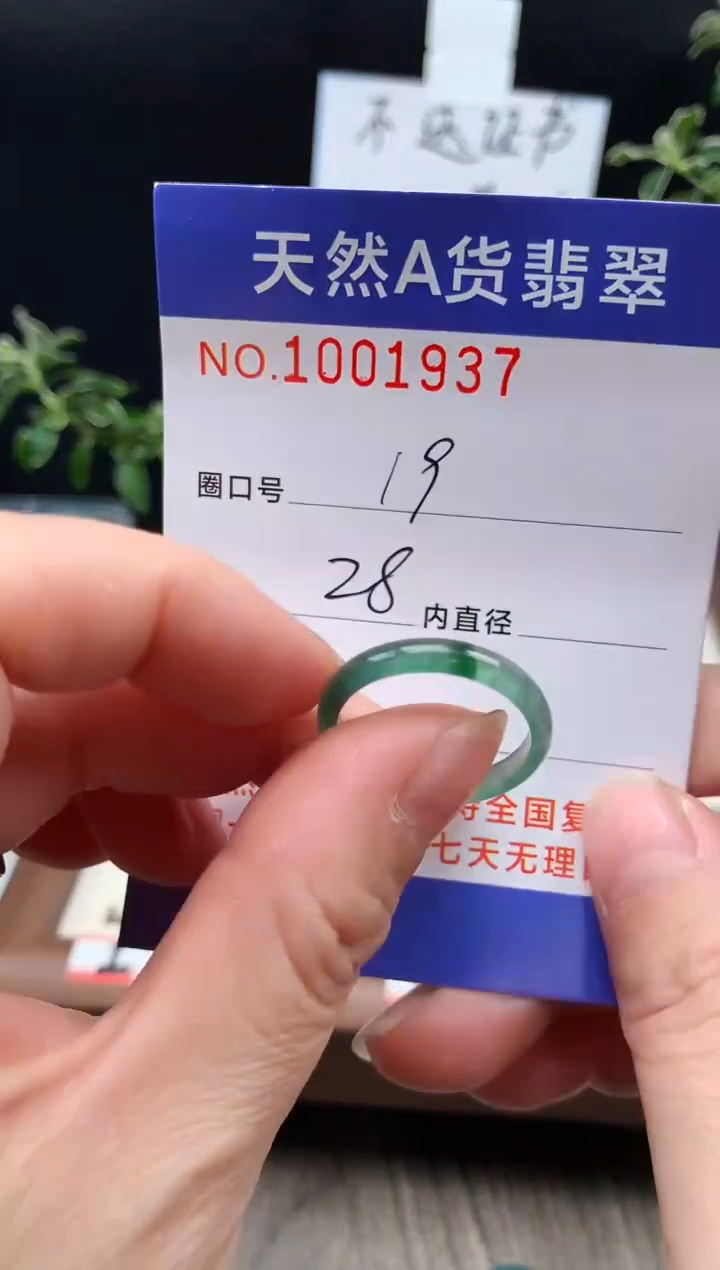 未镶嵌戒指翡翠19#