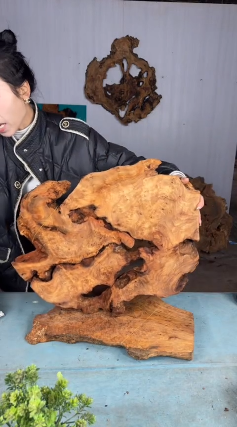 【闪购商品】香杉木木艺杉木瘤随型【原料】008