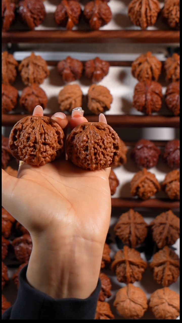 木质南疆石66666