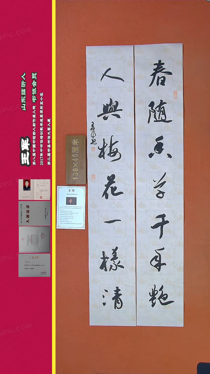 【闪购商品】书法315a王军书法作品