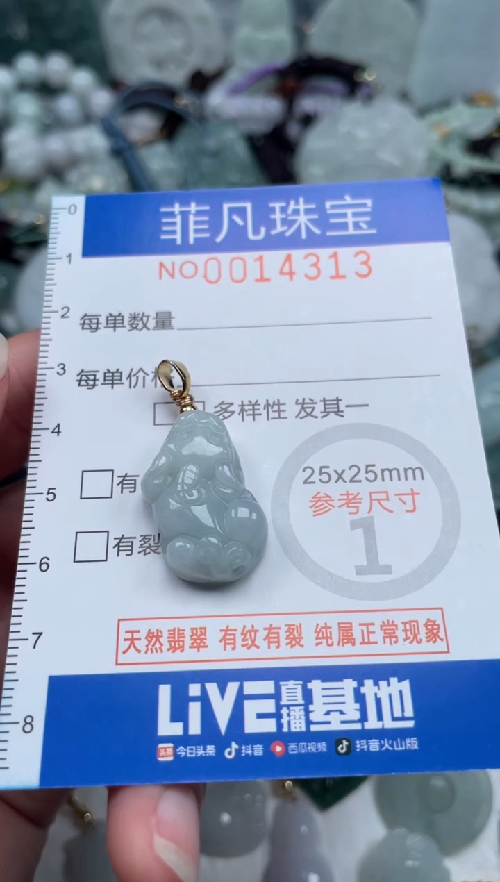 颈饰未镶嵌翡翠14313