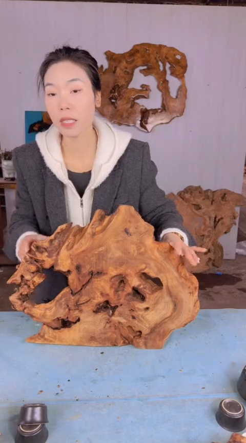 【闪购商品】香杉木木艺杉木瘤随型【原料】019