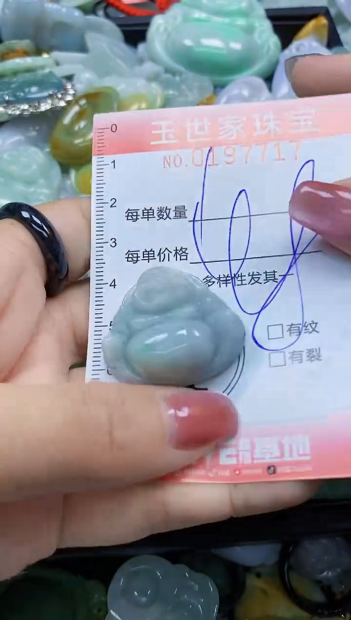 【闪购商品】翡翠颈饰未镶嵌闪购0197717