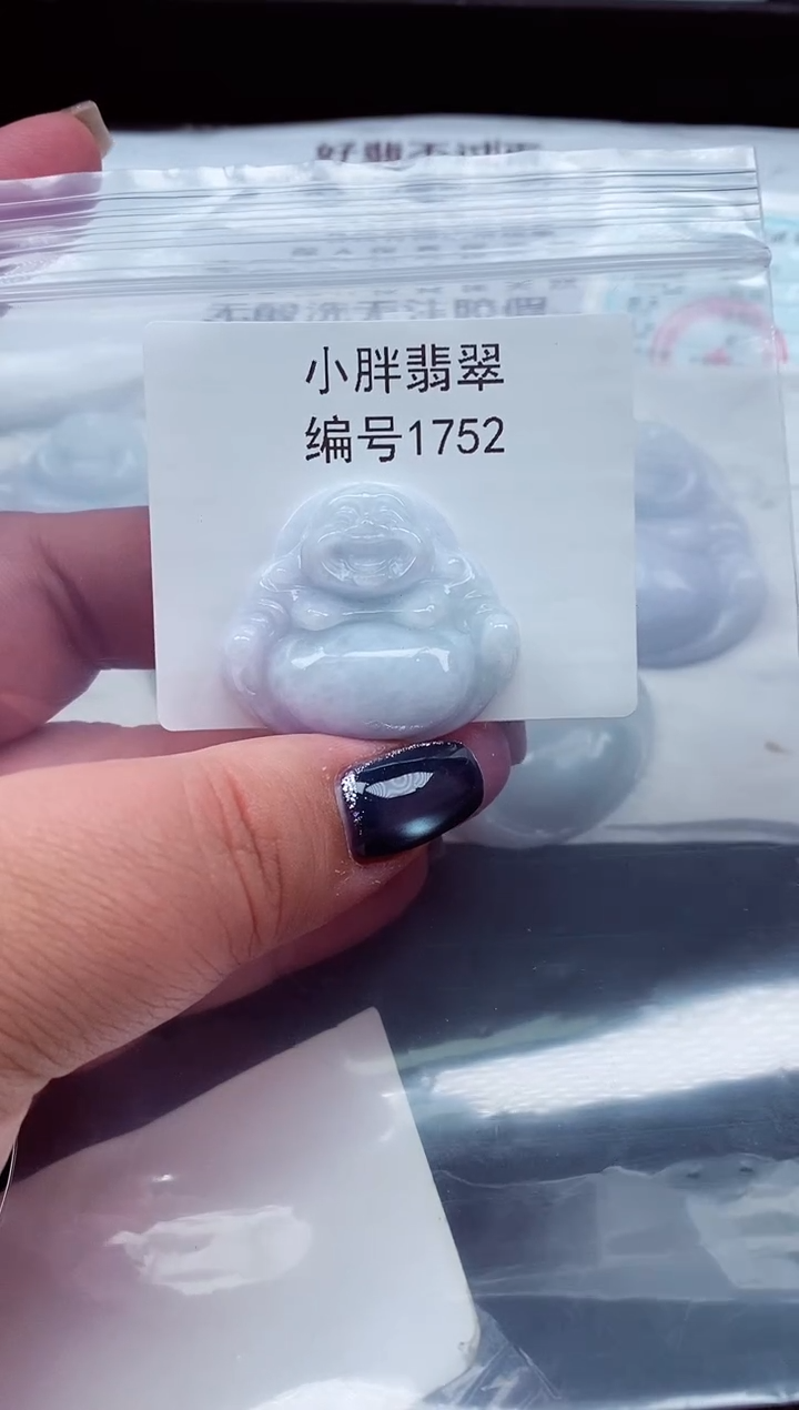 颈饰未镶嵌翡翠缅甸天然A货翡翠1752