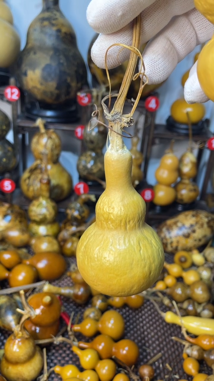 【闪购商品】葫芦葫芦葫芦葫芦葫芦葫芦