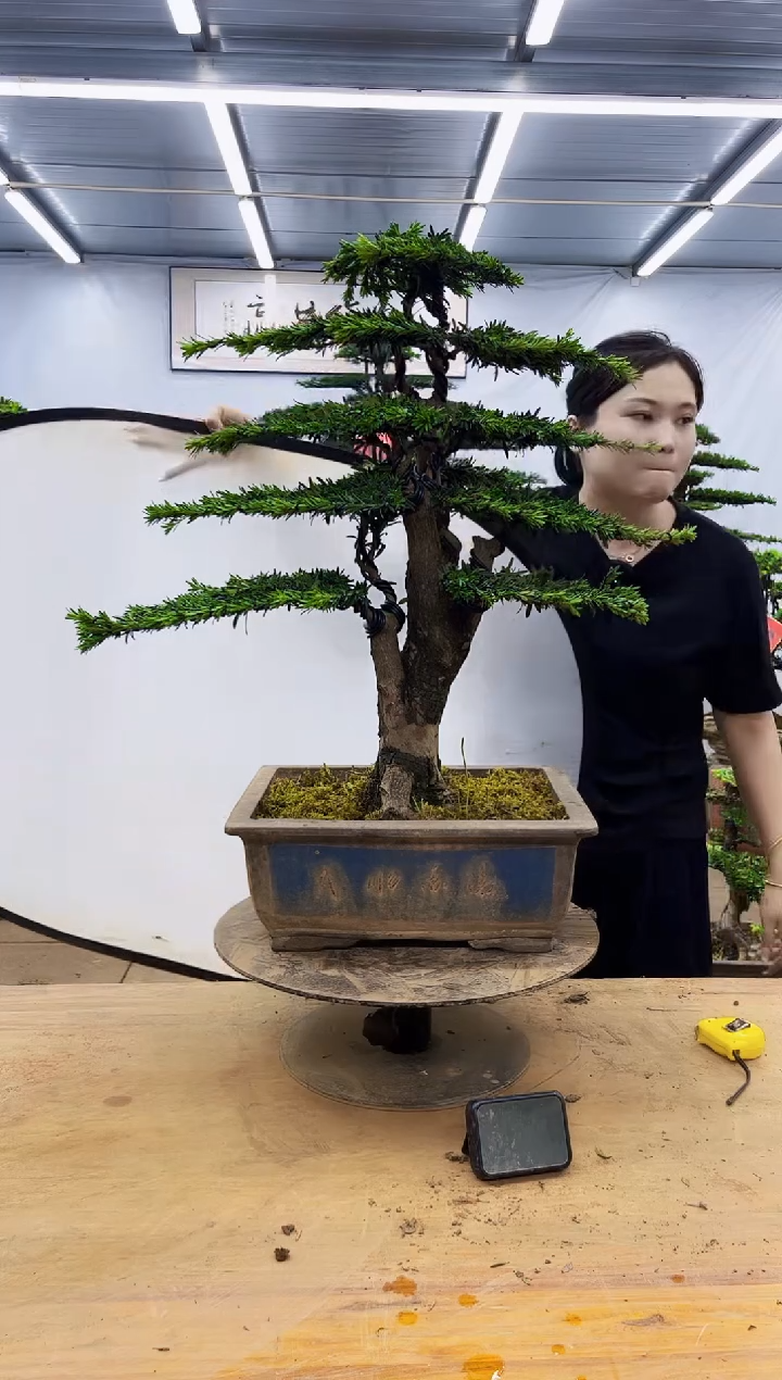 无花朵一物一拍，所见即所得