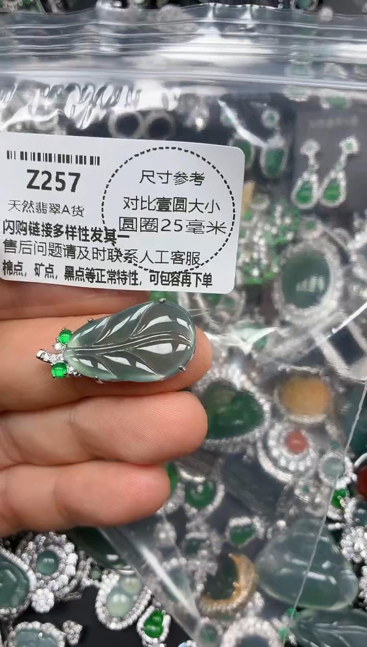 颈饰未镶嵌翡翠Z257吊坠