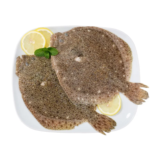 【1】多宝鱼新鲜冷冻鲜活深海鱼类海鲜水产