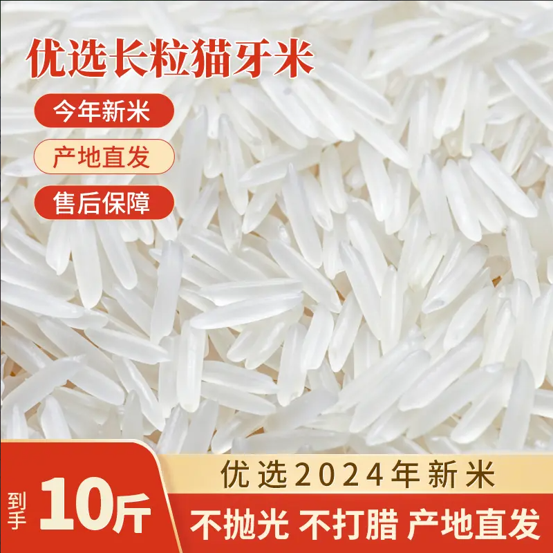 【新人补贴】长粒香猫牙香米买五斤送五斤到手十斤一年一季现磨现发