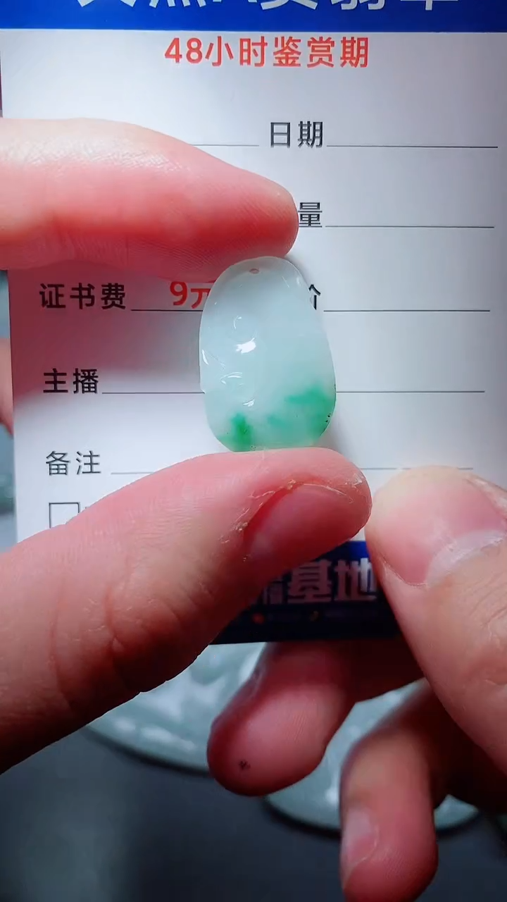 【闪购商品】翡翠颈饰未镶嵌天然A货翡翠一件