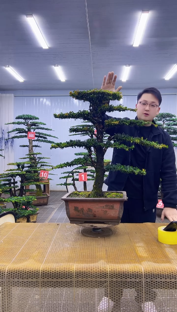 无花朵0000000000000000