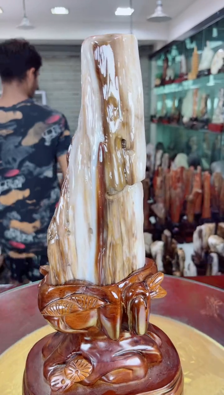 硅化玉珠宝奇石未镶嵌缅甸天然树化玉