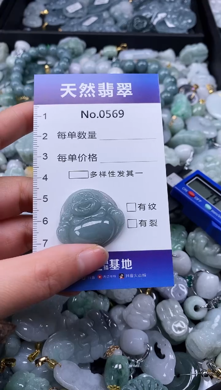 【闪购商品】翡翠颈饰未镶嵌缅甸A货翡翠0569
