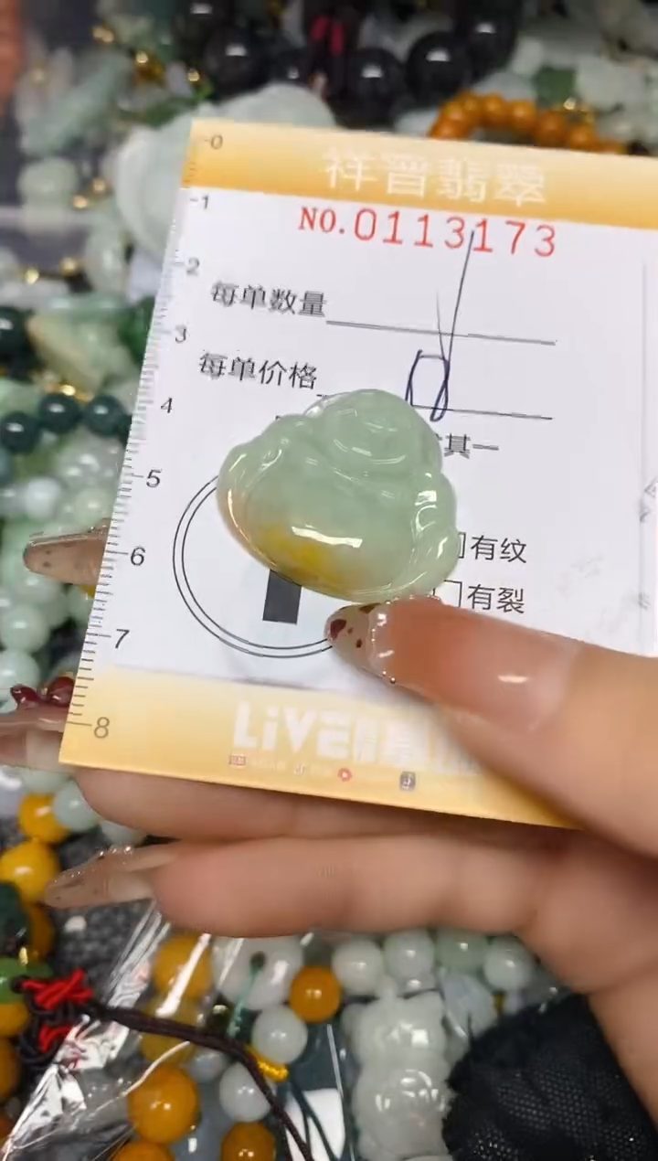 【闪购商品】翡翠颈饰未镶嵌闪购0113173