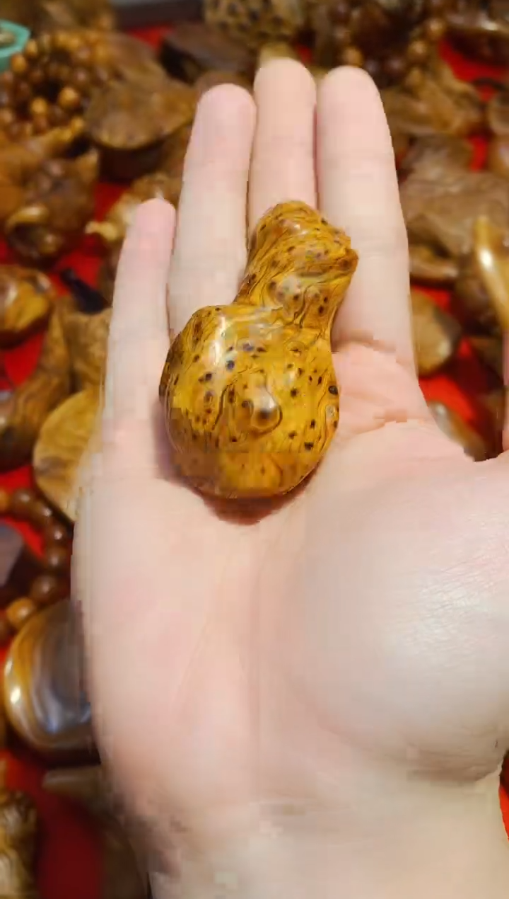 【闪购商品】柏木37崖柏崖柏崖柏崖柏崖柏