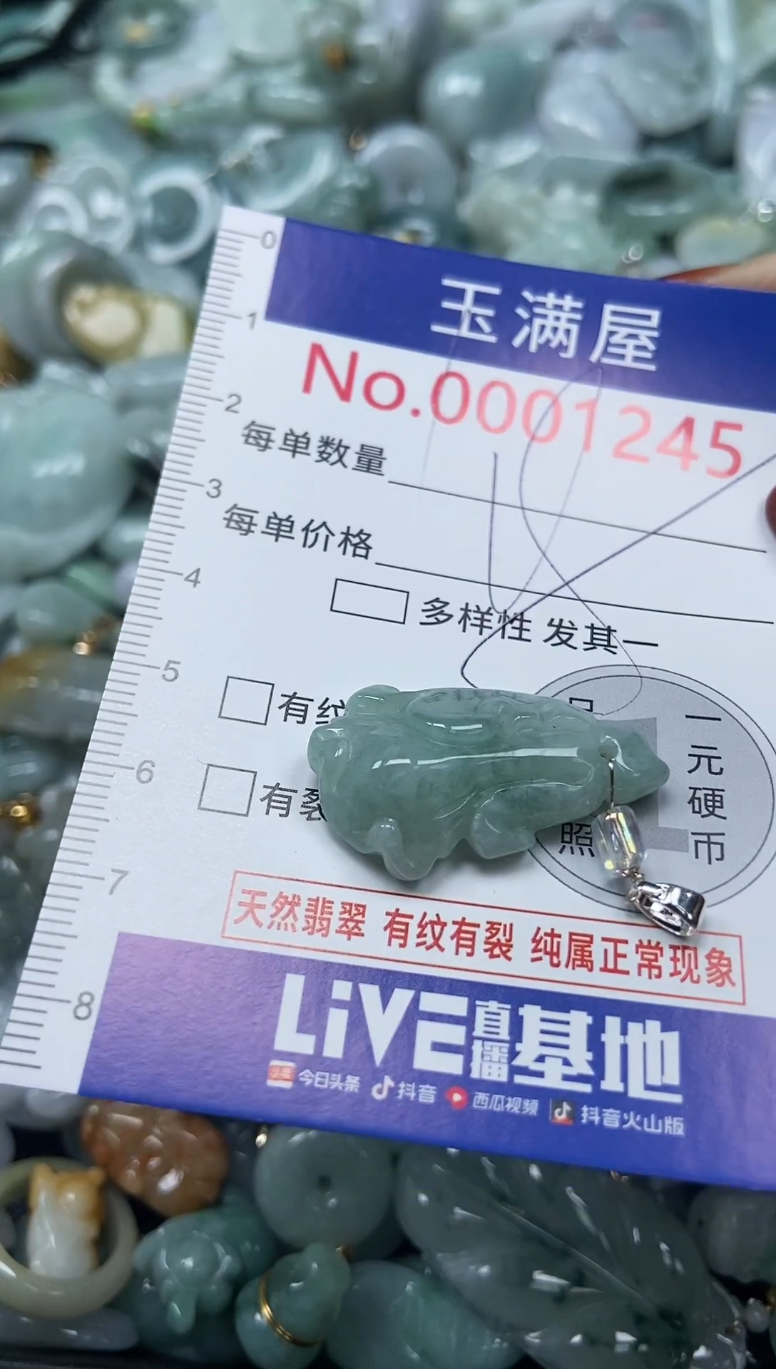 颈饰未镶嵌翡翠1245