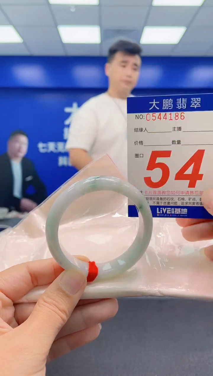 未镶嵌手镯翡翠AAAAAAAAA