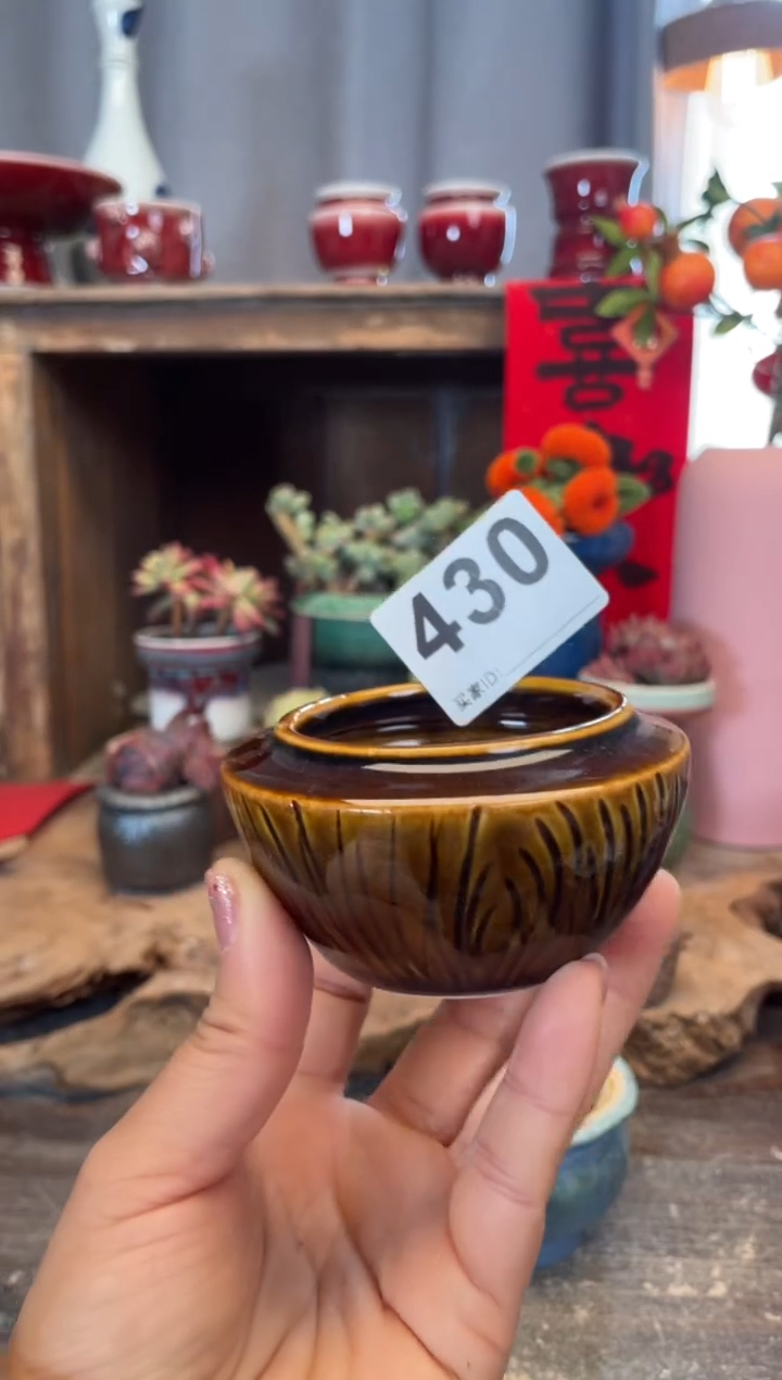 【闪购商品】摆件430知木小芳花盆