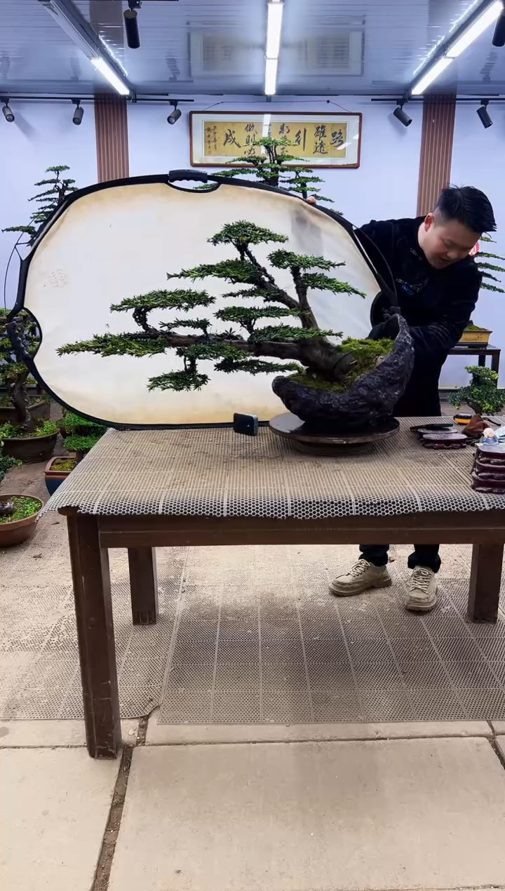 【闪购商品】0000000