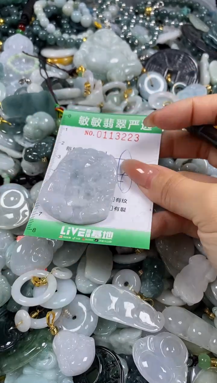 【闪购商品】翡翠颈饰未镶嵌闪购0113223