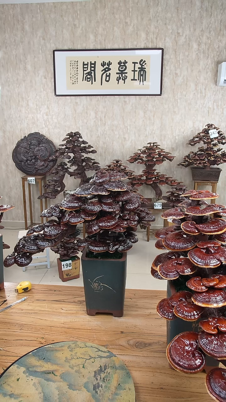 以实际为准路***我40