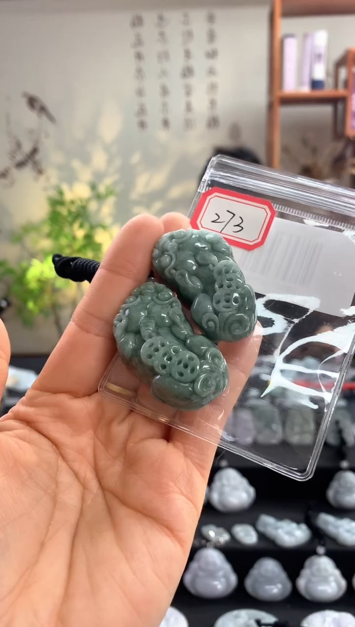 【闪购商品】翡翠颈饰未镶嵌貔貅【拍一发二】273多样性发一件