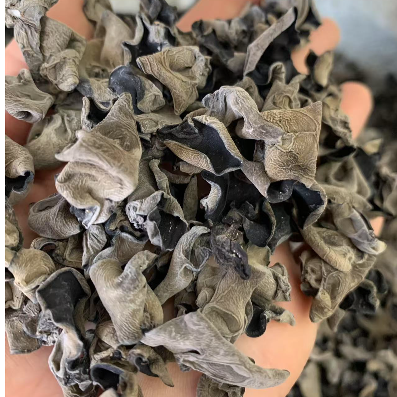 长白山黑木耳春耳头茬精品肉厚无增重纯天然