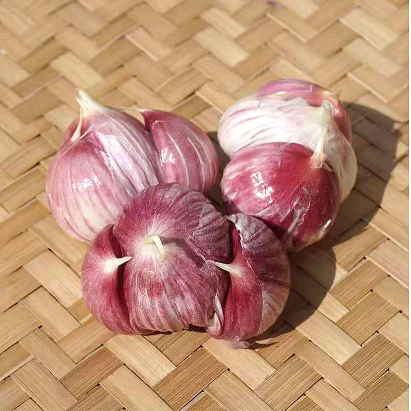 云南紫皮大蒜头干蒜香辣饱满可做腊八蒜