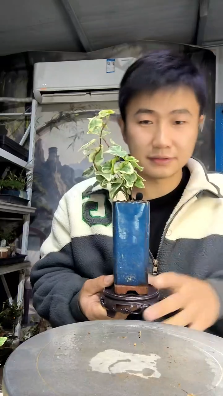 阿*呃中青园艺一物一拍花143