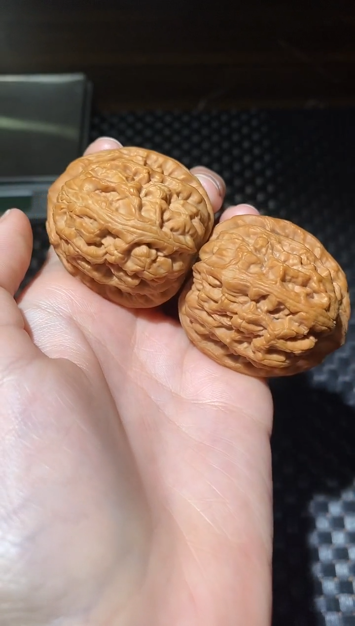 把件文玩核桃微微修红锦鲤45尺（53.1克）