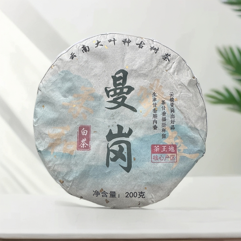 【李天文-】2024年曼岗茶王地古树白茶200g带试喝装