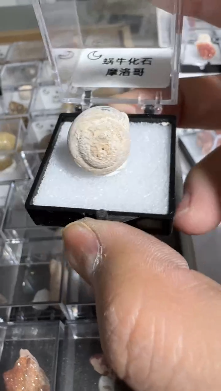 【闪购商品】月下珠宝严选矿物