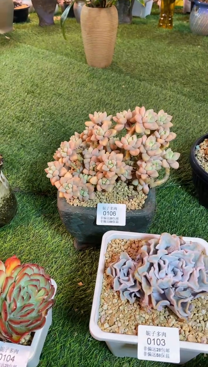 【闪购商品】0106a