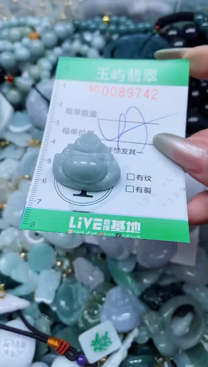 【闪购商品】翡翠颈饰未镶嵌闪购0089742