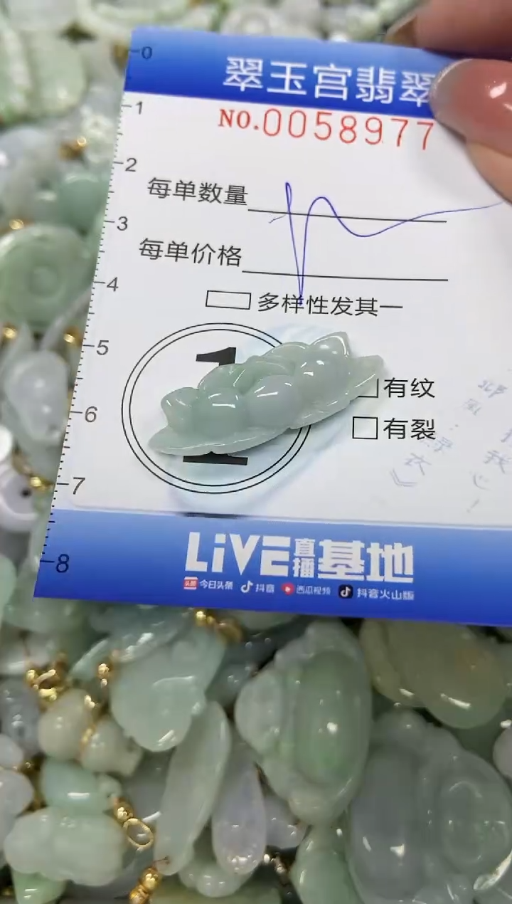 【闪购商品】翡翠颈饰未镶嵌闪购0058977