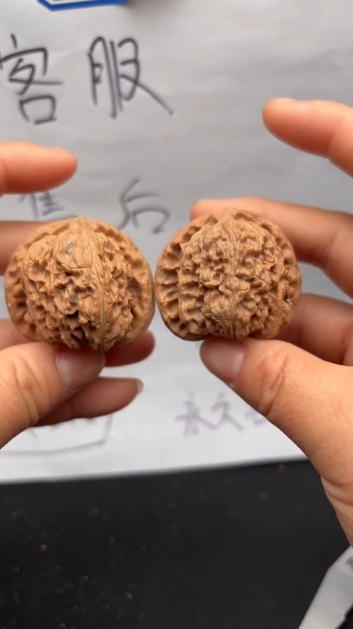 把件文玩核桃247白狮子