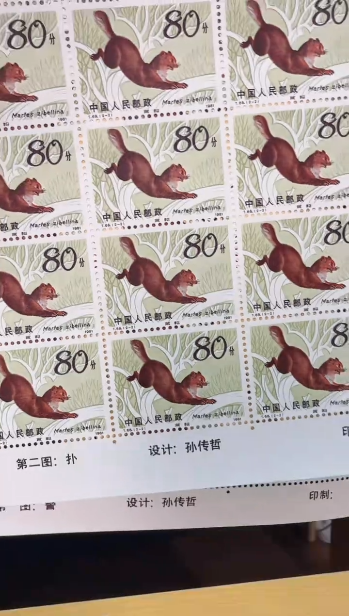 《紫貂》大版 CSGS评级 邮票